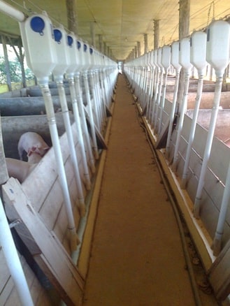 6-sistema de alimentacao-min.jpg